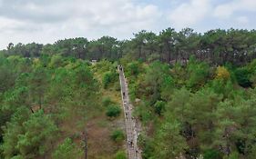 Landal Berger Duinen Hotel
